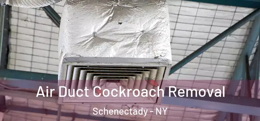  Air Duct Cockroach Removal Schenectady - NY