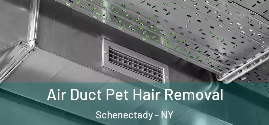 Air Duct Pet Hair Removal Schenectady - NY