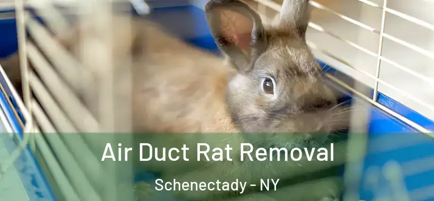  Air Duct Rat Removal Schenectady - NY