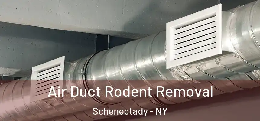 Air Duct Rodent Removal Schenectady - NY
