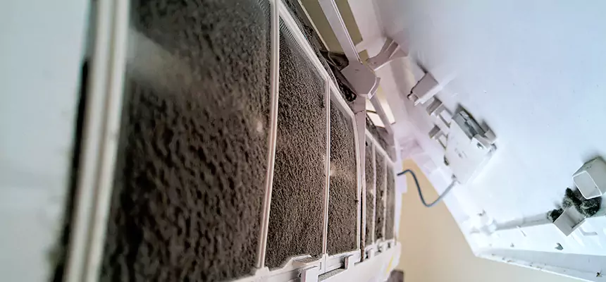 Preventive Air Duct Bacteria Removal in Schenectady