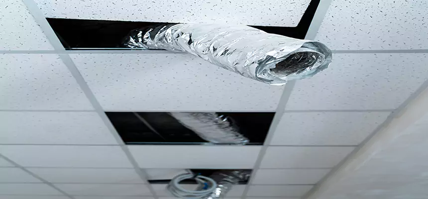 Affordable HVAC Sanitizing After Pest Removal in Schenectady