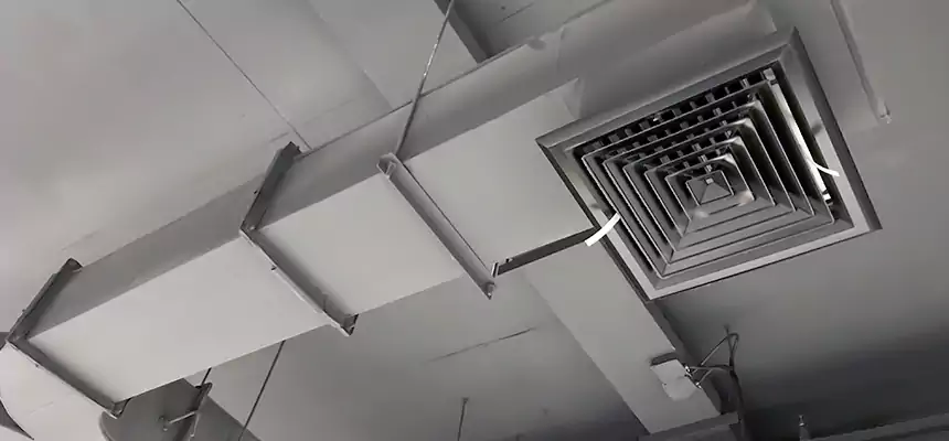 Restorative Allergy Relief Vent Cleaning – Coil, Blower & Housing Detail in Schenectady