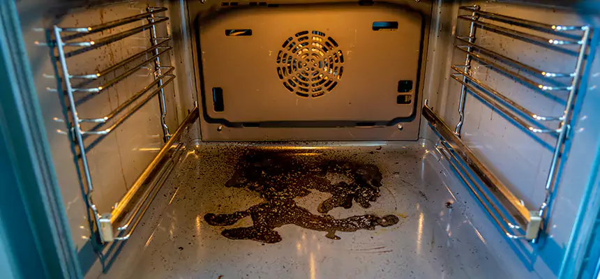 Our Dryer Vent Mold Cleaning Services in Schenectady, NY