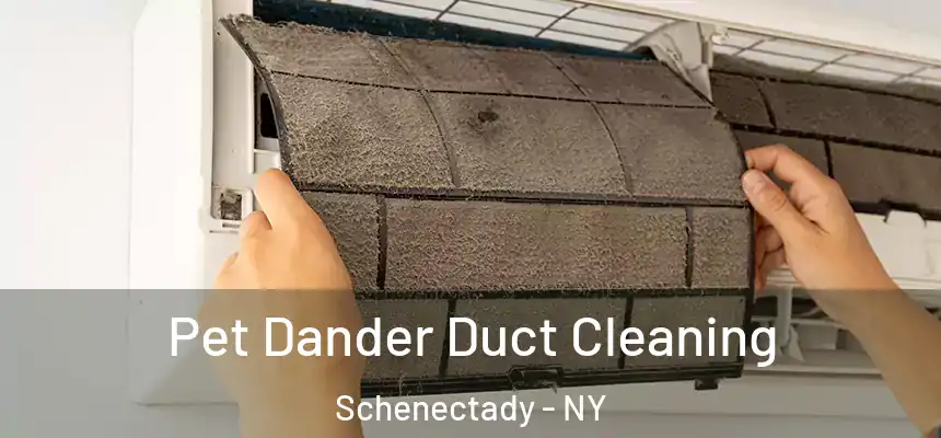 Pet Dander Duct Cleaning Schenectady - NY