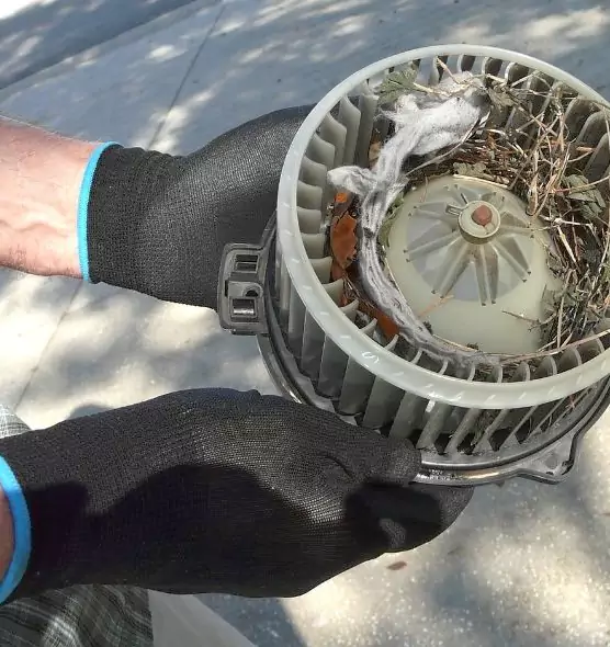 About Air Duct Mice Removal in Schenectady, NY