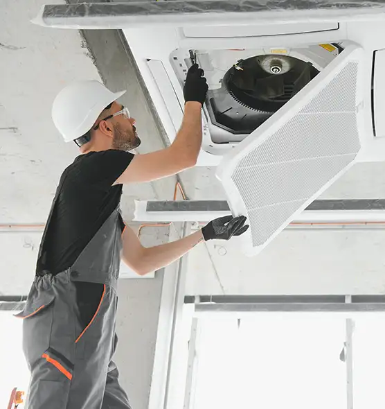 About Air Duct Rodent Removal in Schenectady, NY