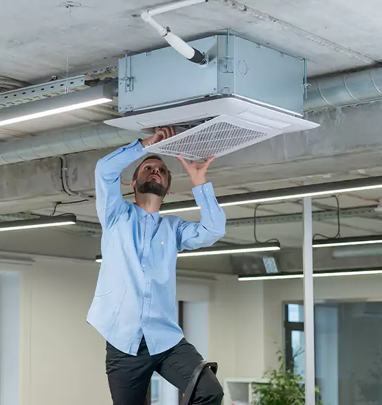 Advanced Rodent Droppings In Vents in Schenectady, NY