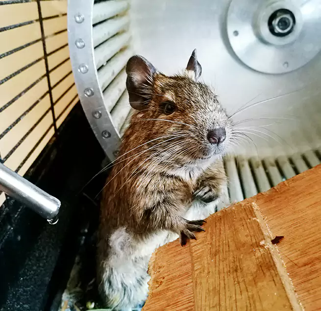 Why Homeowners & Businesses Trust Us Schenectady, NY