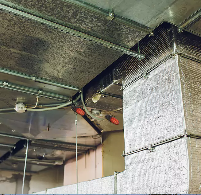 Why Homeowners & Businesses Trust Us Schenectady, NY?