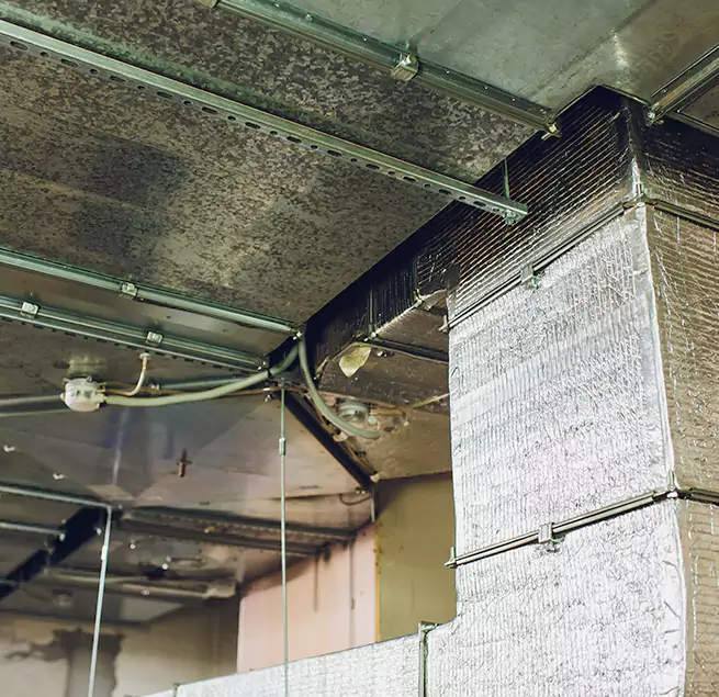 Why Homeowners & Businesses Trust Us in Schenectady, NY?